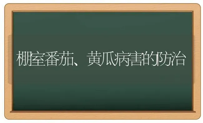 棚室番茄、黄瓜病害的防治 | 蔬菜种植