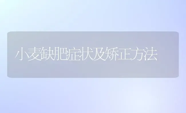 小麦缺肥症状及矫正方法 | 粮油作物种植