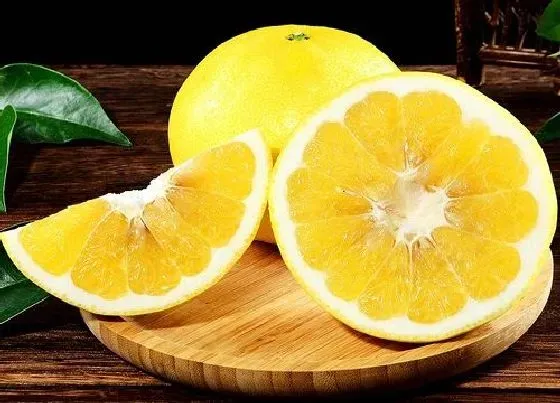 果实成熟|西柚是几月份的水果