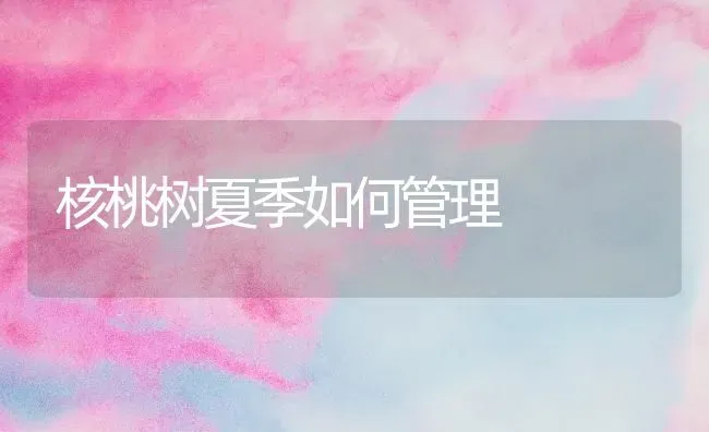 核桃树夏季如何管理 | 瓜果种植