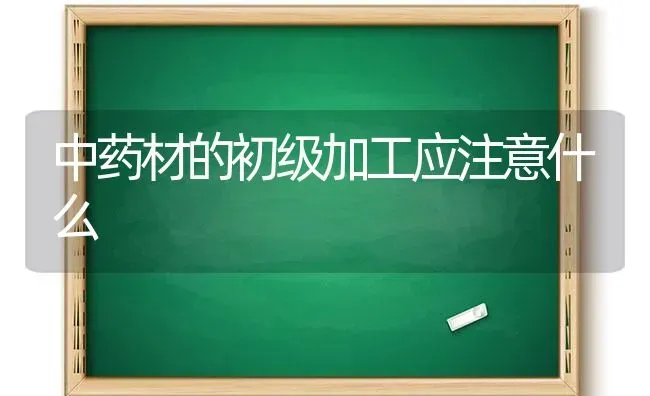 中药材的初级加工应注意什么 | 药材种植