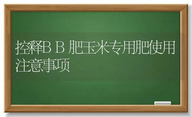 控释BB肥玉米专用肥使用注意事项 | 粮油作物种植
