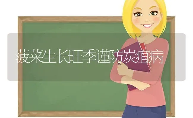 菠菜生长旺季谨防炭疽病 | 蔬菜种植