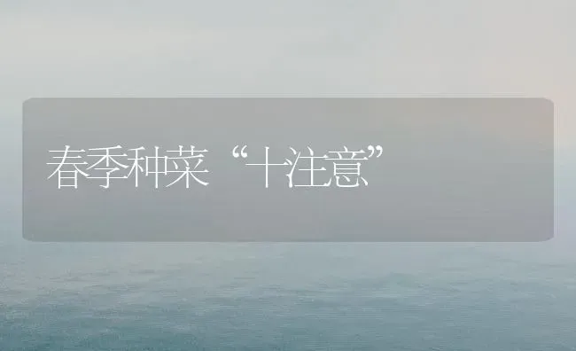 春季种菜“十注意” | 蔬菜种植