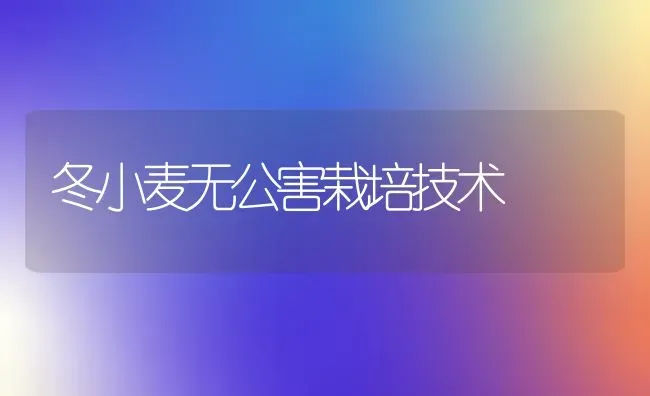 冬小麦无公害栽培技术 | 粮油作物种植