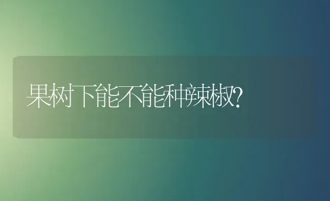 果树下能不能种辣椒？ | 瓜果种植