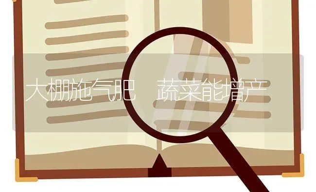 大棚施气肥　蔬菜能增产 | 蔬菜种植