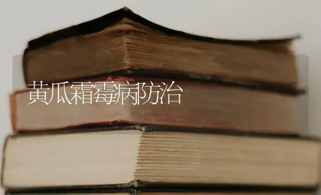 黄瓜霜霉病防治 | 蔬菜种植