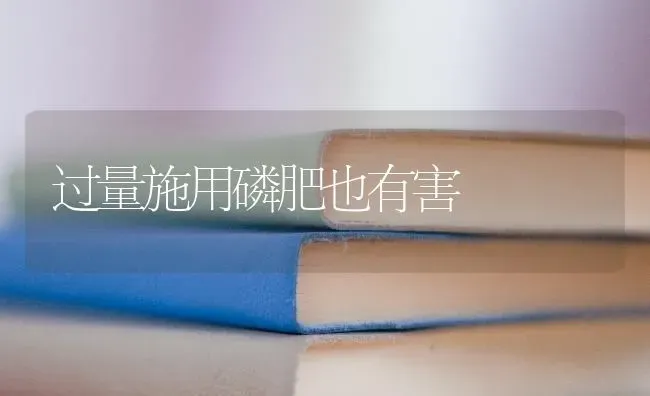 加强秋季管理 苹果幼树好过冬 | 瓜果种植