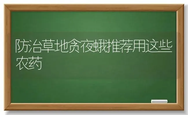 防治草地贪夜蛾推荐用这些农药 | 种植病虫害防治