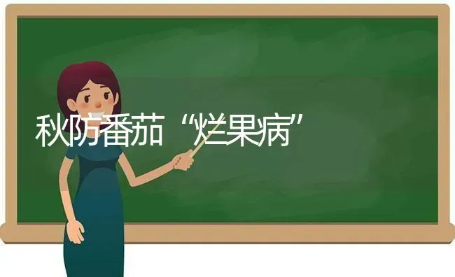 秋防番茄“烂果病” | 瓜果种植