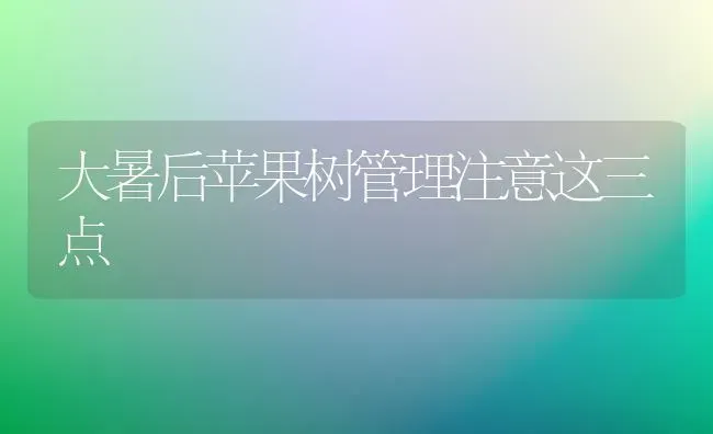 大暑后苹果树管理注意这三点 | 瓜果种植