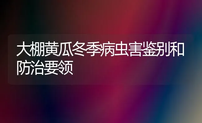 大棚黄瓜冬季病虫害鉴别和防治要领 | 种植病虫害防治