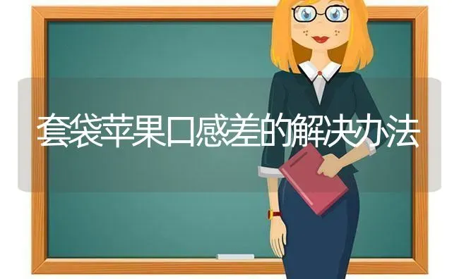 套袋苹果口感差的解决办法 | 瓜果种植