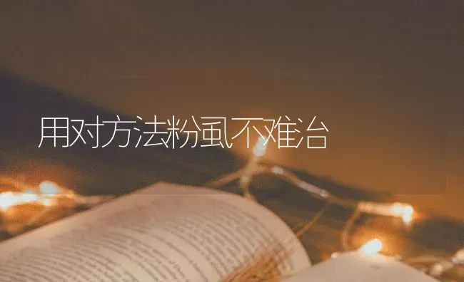 南瓜霜霉病防治方法 | 蔬菜种植