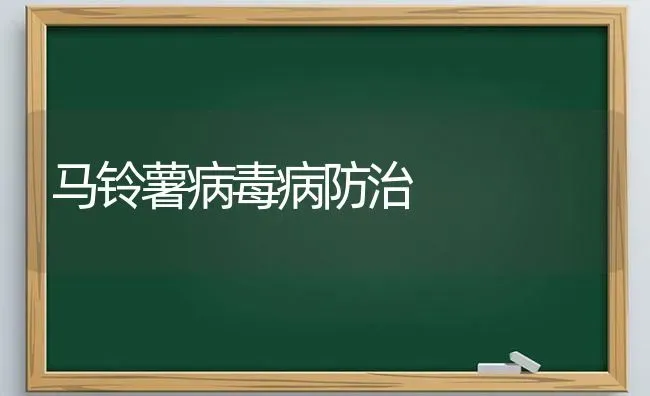 藕田施肥注意事项有哪些 | 种植肥料施肥