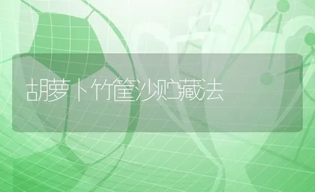 胡萝卜竹筐沙贮藏法 | 蔬菜种植