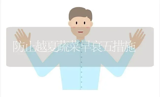 防止越夏蔬菜早衰五措施 | 蔬菜种植