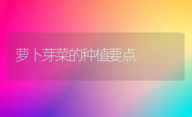 萝卜芽菜的种植要点 | 植物种植百科