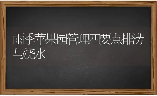 雨季苹果园管理四要点排涝与浇水 | 瓜果种植