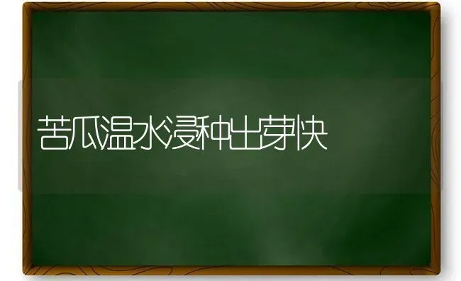 苦瓜温水浸种出芽快 | 蔬菜种植