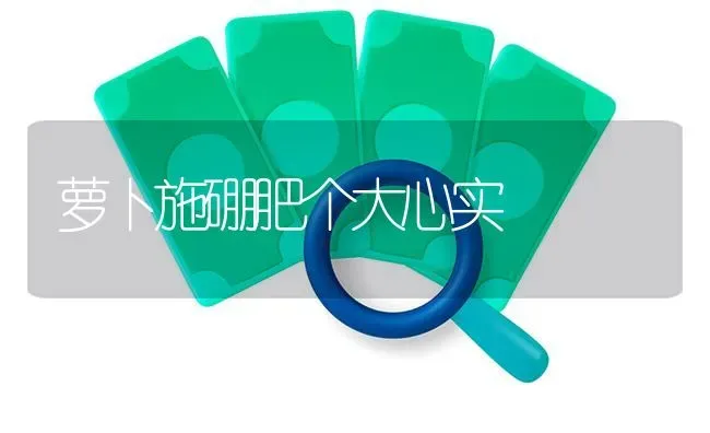萝卜施硼肥个大心实 | 蔬菜种植