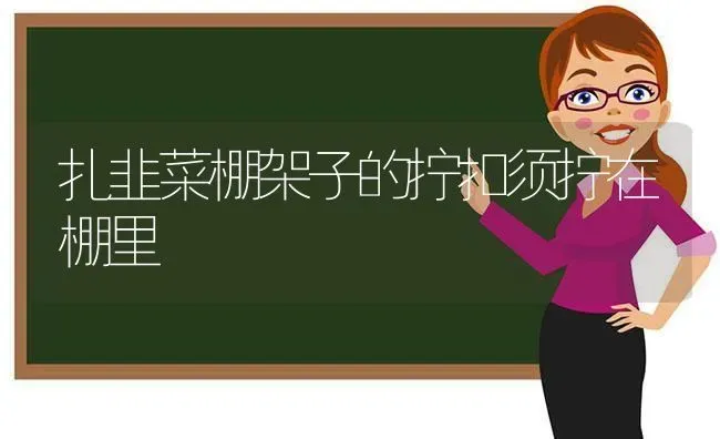 扎韭菜棚架子的拧扣须拧在棚里 | 蔬菜种植