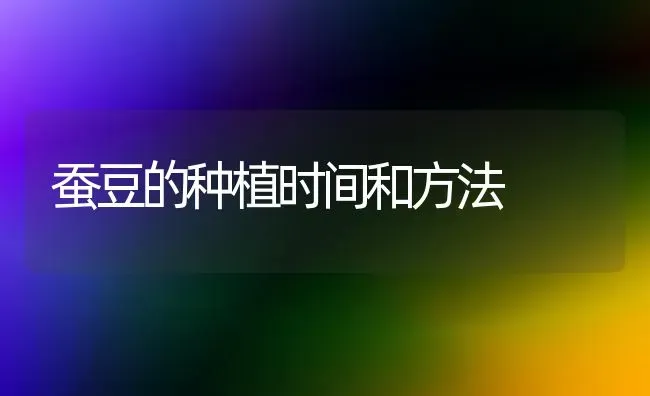 蚕豆的种植时间和方法 | 植物种植百科