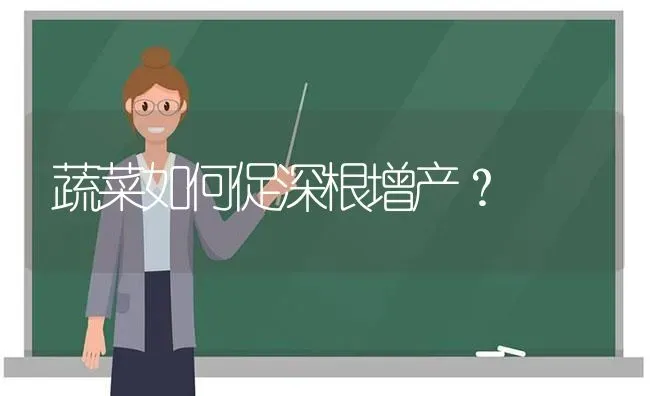 蔬菜如何促深根增产？ | 蔬菜种植