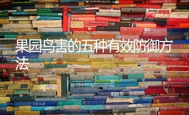 果园鸟害的五种有效防御方法 | 瓜果种植