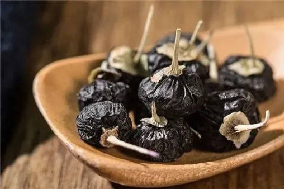 果实科普|黑枸杞几月开花结果 什么时候开花结果