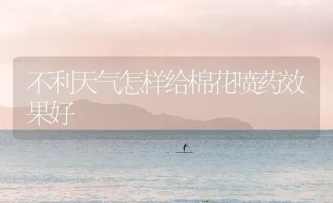 不利天气怎样给棉花喷药效果好 | 瓜果种植
