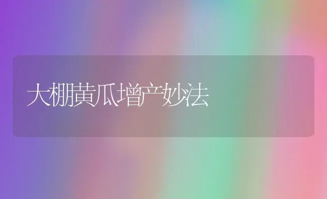 大棚黄瓜增产妙法 | 蔬菜种植