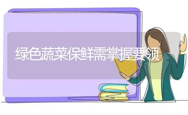 绿色蔬菜保鲜需掌握要领 | 蔬菜种植