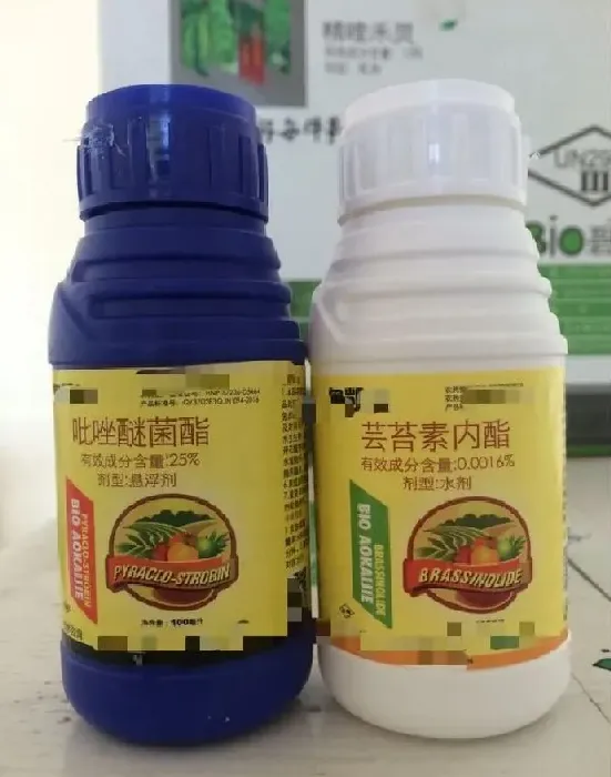 喷药|赤霉酸能和吡唑醚菌酯混合使用吗（赤霉酸能和什么药混配）