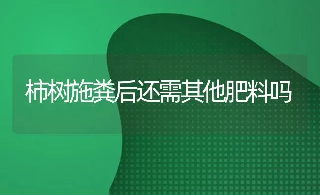 柿树施粪后还需其他肥料吗 | 种植肥料施肥