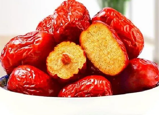 食用须知|大枣是生吃好还是熟吃好