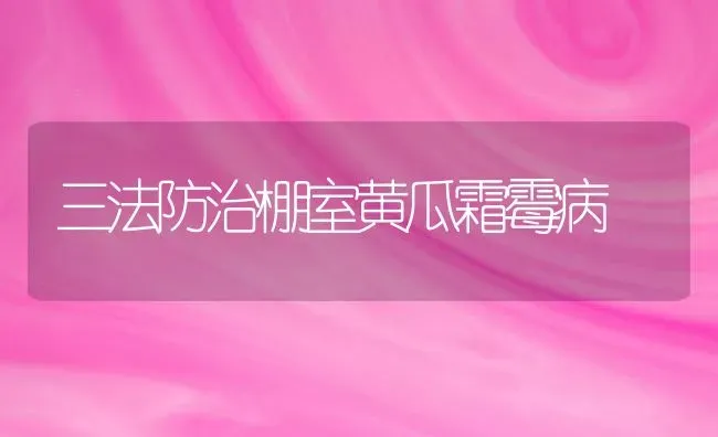 三法防治棚室黄瓜霜霉病 | 蔬菜种植