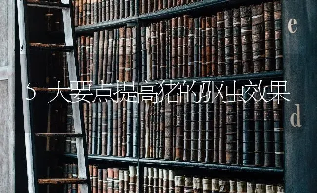 5大要点提高猪的驱虫效果 | 瓜果种植