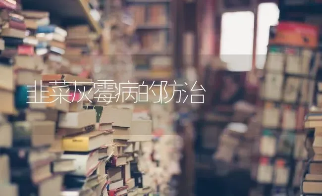 韭菜灰霉病的防治 | 蔬菜种植