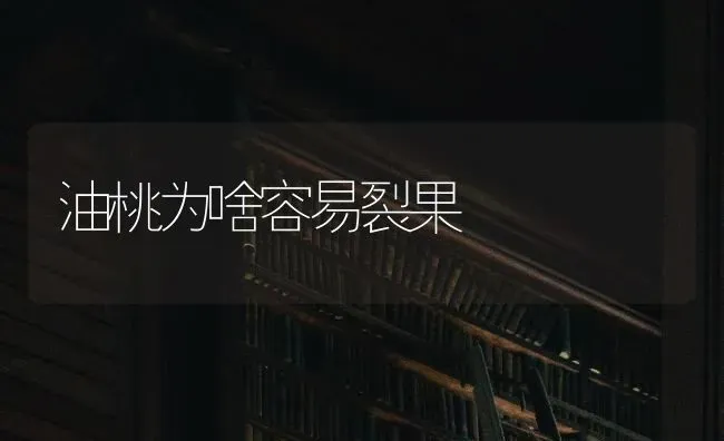 油桃为啥容易裂果 | 瓜果种植