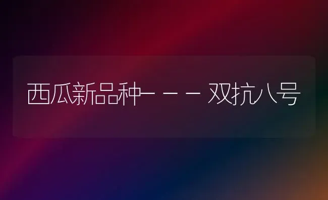 西瓜新品种---双抗八号 | 瓜果种植