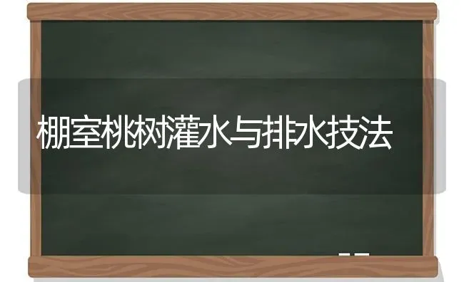 棚室桃树灌水与排水技法 | 瓜果种植