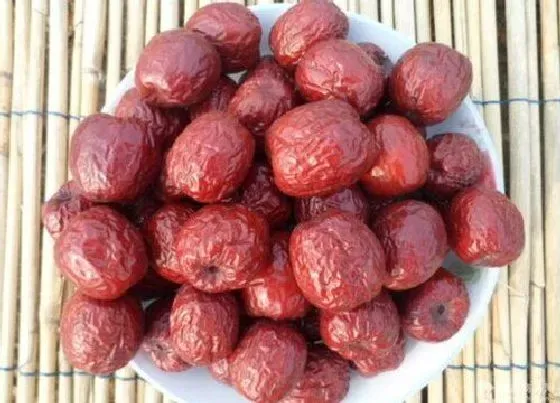 食用须知|大枣是生吃好还是熟吃好