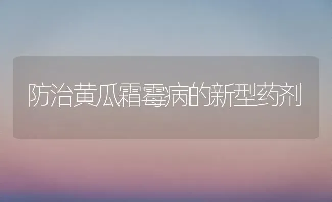 防治黄瓜霜霉病的新型药剂 | 蔬菜种植