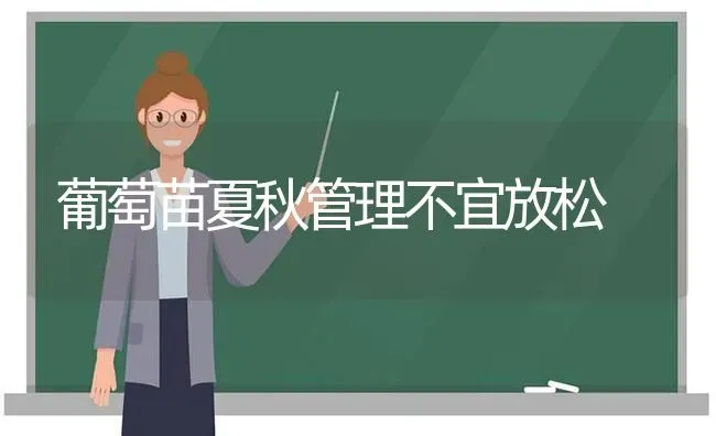 葡萄苗夏秋管理不宜放松 | 瓜果种植