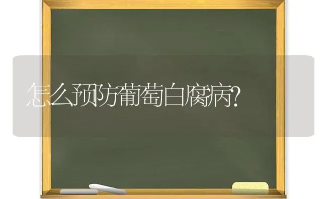 怎么预防葡萄白腐病？ | 瓜果种植