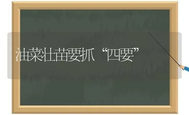 油菜壮苗要抓“四要” | 粮油作物种植