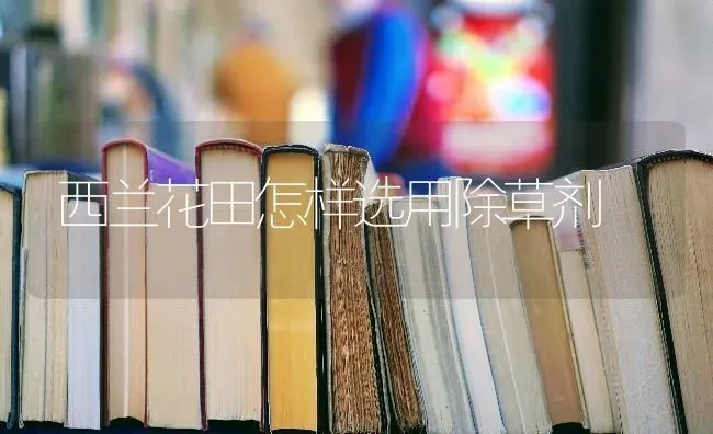 蔬菜根肿病要综合防治 | 蔬菜种植