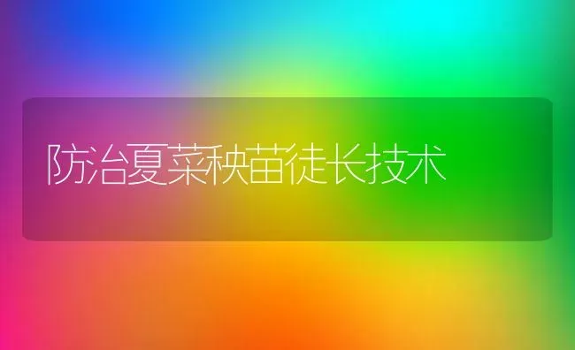 防治夏菜秧苗徒长技术 | 蔬菜种植